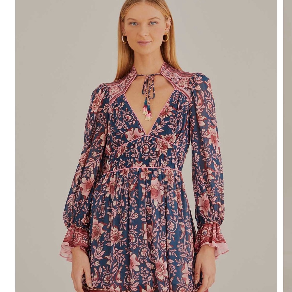 Anika Charm dress size large by Farm Rio